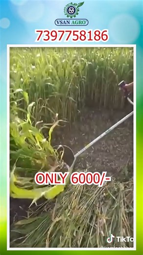 “See the Performance 🔥 Customer Using VSAN Brush Cutter.” #BrushCutter #CustomerReview #CustomerUsing #RealPerformance #VSAN #VSANMotors #FarmMachinery #SmartFarming #FarmerLife #AgriEquipment #FieldWork #TrustedByFarmers | VSAN Industries