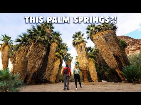 I was wrong about PALM SPRINGS | 3 days on a $300 budget