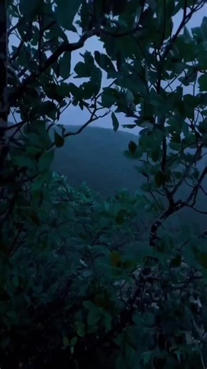 Los Temerarios: A Farewell Tour