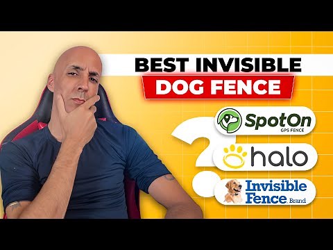 Best Invisible Dog Fences of 2025: 3 Winners (and 1 Big Loser!)