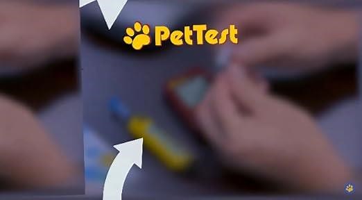 Glucose Test Strips for Pets - Individually Foiled Wrapped 