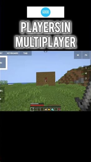 Minecraft Single Player Vs Multiplayer | #minecraft