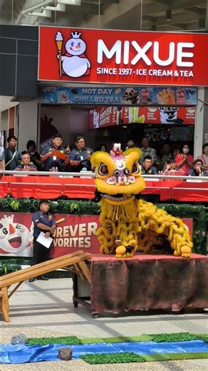 LION DANCE Performance #liondance #南狮传统 #liondanceperformance