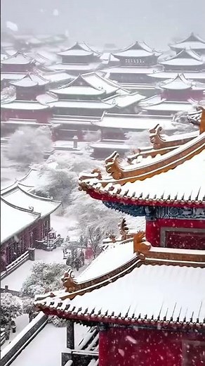 The first snow in Forbidden City this winter 白雪红墙 -大美北京故宫之初雪 #explorechina #中国 #中國 #故宫 #北京 #china