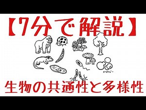生物基礎 第1章 生物の多様性と共通性