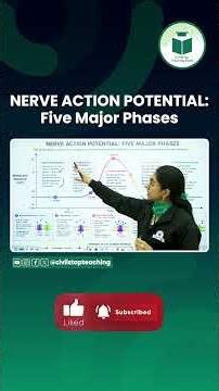 Nerve Action Potential: 5 Major Phases Explained in 60 Seconds!