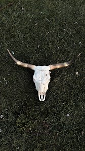 55K views · 263 reactions | I’m beginning to lose count of how many...