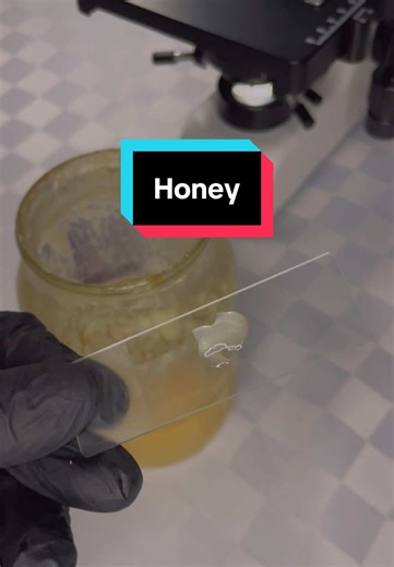 Exploring Honey Under a Microscope: Surprising Discoveries