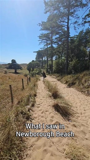Newborough Beach, North Wales Nestled on the southwest coast of Anglesey, Newborough Beach is one of North Wales’ most breathtaking coastal destinations. This vast expanse of golden sand stretches for miles, framed by the scenic backdrop of Snowdonia’s mountains and the tranquil Newborough Forest. With well-marked trails, Newborough Beach is ideal for families, photographers, and nature lovers alike. Whether you visit for a relaxing day by the sea or an active hike through dunes and woodland, th