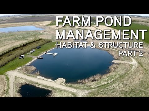 Farm Pond Management | Improving Habitat And Structure Part 2