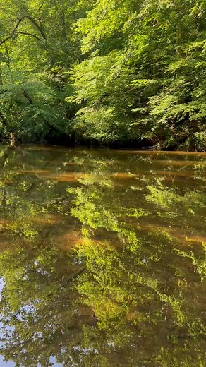3.4K views · 58 reactions | Happy Trail Tuesday  Check out this easy yet lush trail located in White Clay Creek State Park! The Nature Preserve Trail is a 1.1 mile hike with views of open fields, White Clay Creek, and remnants of the former bridge crossing.Check out more trails here! https://destateparks.com/Trails Comment below with a trail you’d like to see next! 量 | Delaware State Parks | Facebook