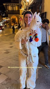 Why You Need to Visit Cusco to See Baby Alpacas