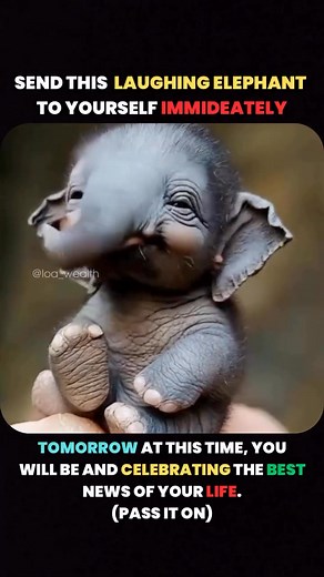 Laughing elephant | law of karma