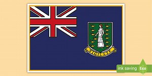 British Virgin Islands Flag Poster
