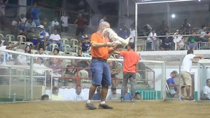 29K views · 967 reactions | NEW NEGROS COLISEUM PROMOTION 5-COCK 1-DAY 22K POT MONEY. MARCH 15, 2017. ENTRY NAME : FIRE DRAGON GAME FARM 888 1. OWNER : FRANCIS CABUGA / ANTONIO BURBURAN. FOURTH FIGHT : 4-YEARS OLD CALIFORNIA WHITE CLARET PRINSIPE LINE. FIRE DRAGON GAME FARM 888 1 VS JOLT PROMOTION JUNE 22-23-25 5-COCK NTC. OWNER : JOLT/D.MENDOZA/PATBEL. (WIN) | Antonio Burburan | Facebook