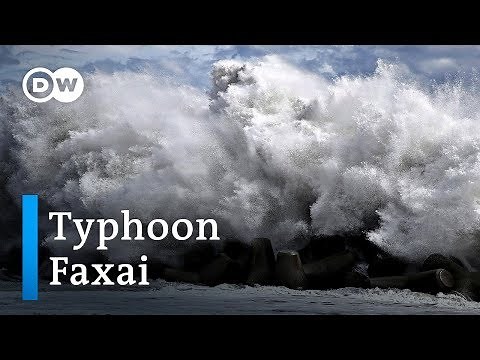 Typhoon Faxai hits Japan | DW News