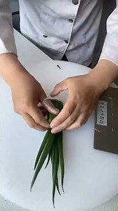 Chopping knife skills | Knife skills become divine | Learn quickly! | Knife work