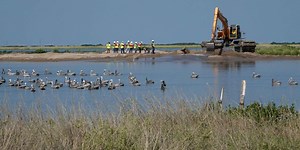 Freeport McMoRan agrees to big coastal damage settlement