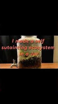 How to build a sealed ecosystem in a jar for beginners #terrarium #aquascape #plants #aquascapelowte