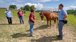 The newly formed School of Animal Sciences in the Virginia Tech College of Agriculture and Life Sciences will be one of the largest of its kind east of the Mississippi and ranks fourth nationally in the number of research grants. 👏🐮 The new school is positioned to strengthen our impact on Virginia, the nation, and the world ➡️ https://fal.cn/3pUGy | Virginia Tech