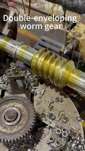 Double-Enveloping Worm Gear: Understanding Its Mechanics
