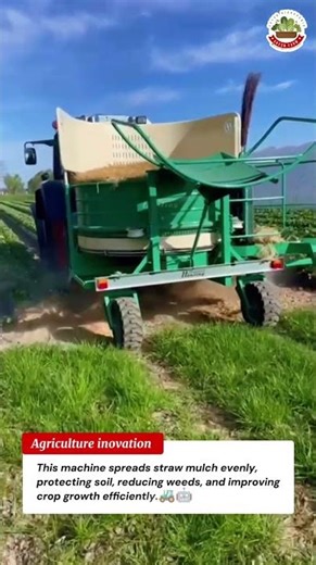Straw mulching machine farm tools automatic mulch spreading machine powerful 🚜🤖
