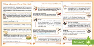 10 Ways to Learn about Animal Welfare Needs Adult Guidance