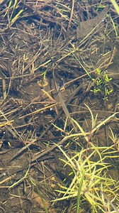 1.1M views · 52K reactions | Do you believe in magic? Today’s...