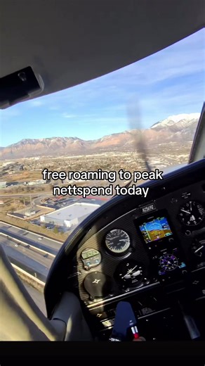 Understanding the Current Opinion on NettSpend