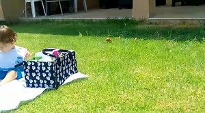 Watch Feel Comforts Baby Diaper Caddy - The best way to organize your baby stuff on Amazon Live