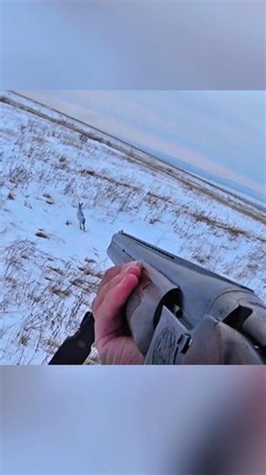 Быстрая охота на кролика в дикой природе#ОхотаНаКролика #Охота #Кролик #ОхотничийВыстрел