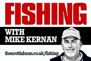 Scott Gibson on his two day battle with porbeagle sharks in the Pentland Firth