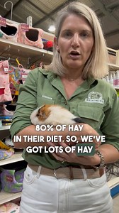 Are you interested in keeping guinea pigs as pets? Find all your furry friend's essentials right here! From cozy hideouts to tasty treats, we've got everything you need to spoil your little pals. Visit us in-store to explore our range of guinea pig supplies and maybe even bring home a new companion! | Brookies Rural Traders | Facebook