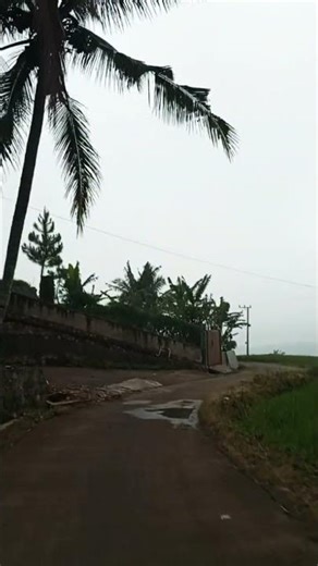 sangat membingungkan#fypシ゚viral #automobile #harusberanda #fypシ #sawah #pemandanganbagus #fypyoutube