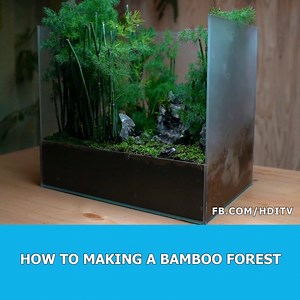 How To Making a Bamboo Forest | Home Design Ideas