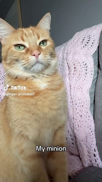 Adorable Minion Girl in Action