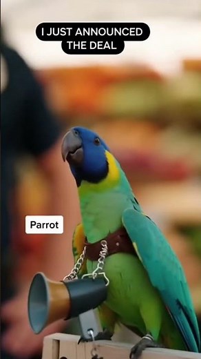 Funny Talking Parrot Shorts | Chatty Parrot TV | Talking Bird in English #TalkingParrot #FunnyParrot