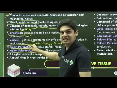 Tissue In 25 Minutes 🔥 | Class 9th | Rapid Revision | Prashant Kirad |