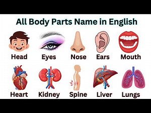 Body Parts Names for Kids | Body Parts | Part of Body Name With Pictures #bodyparts #kidslearning