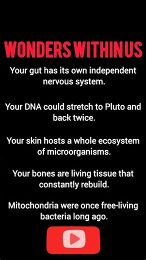 The Body's Hidden Secrets #shorts #shortvideo