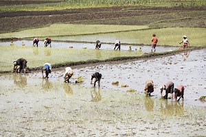 Assessing economic opportunities and training needs