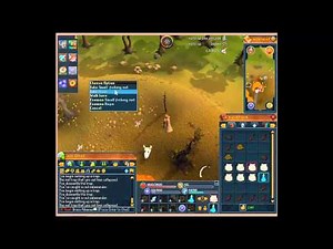 Runescape Hunter Mini-Guide Red Salamanders 70-82 hunter EOC RS3 2013