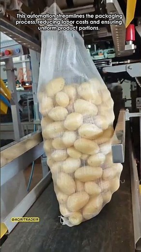 Automated Potato Packaging