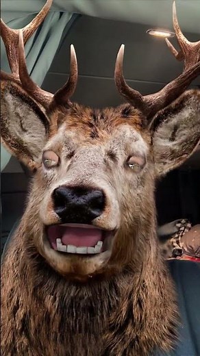 Oh Deer,you have to see this! #funny #subscribe #share