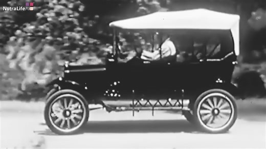 NutraLifeAi NutraMatic