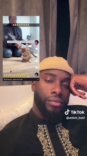 Bébé chat en chaleurs : moments drôles et surprises