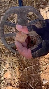 157K views · 953 reactions | Metal detecting #metaldetecting #metaldetector #treasurehunting #treasurehunt #history #adventure | 7 wonders | Facebook