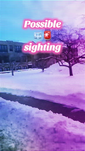 Possible Abduction Alert in Appleton, Wisconsin