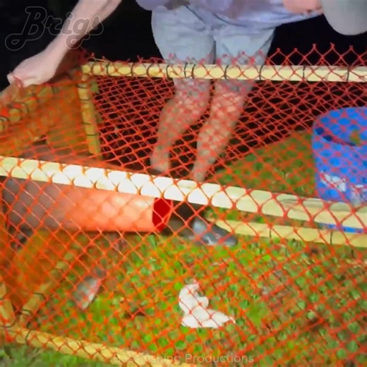 Highlights - Our monster fish trap finally catches a big freshwater shark! | Brigs Fishing Team