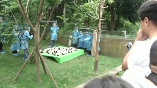 Happy Friday! 󾌰 http://bbc.in/2d0FNFM | BBC News